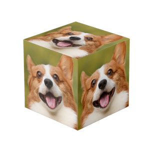 Add Dog Photo Personalised Customised Cube