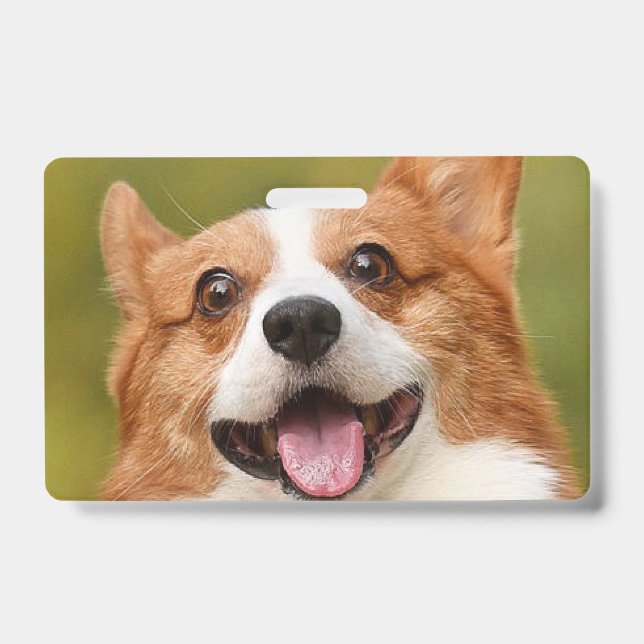 Add Dog Photo Personalised Customised ID Badge (Front)