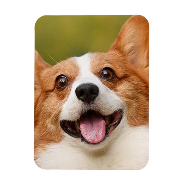 Add Dog Photo Personalised Customised Magnet (Vertical)