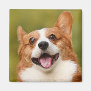 Add Dog Photo Personalised Customised Magnet