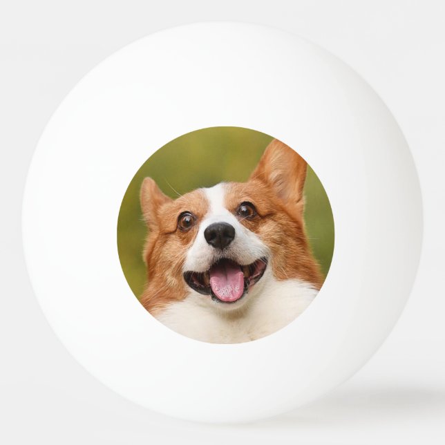 Add Dog Photo Personalised Customised Ping Pong Ball (Front)