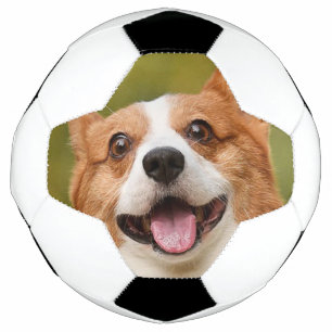 Add Dog Photo Personalised Customised Soccer Ball