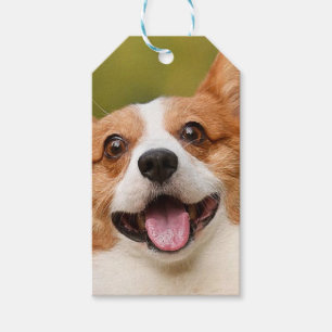 Add Dog Photo Personalized Customized Gift Tags