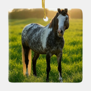 Add Horse Photo Customise Ceramic Ornament