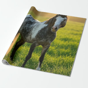 Add Horse Photo Customise Wrapping Paper