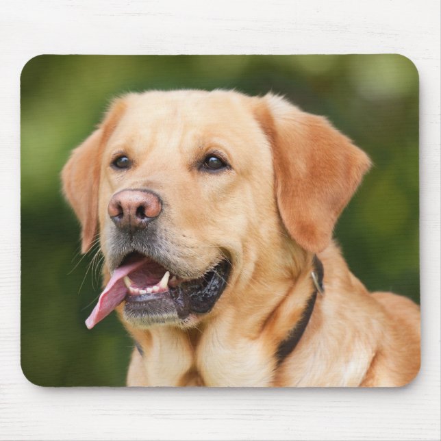 Add Pet Dog Photo Personalised Mouse Pad (Front)
