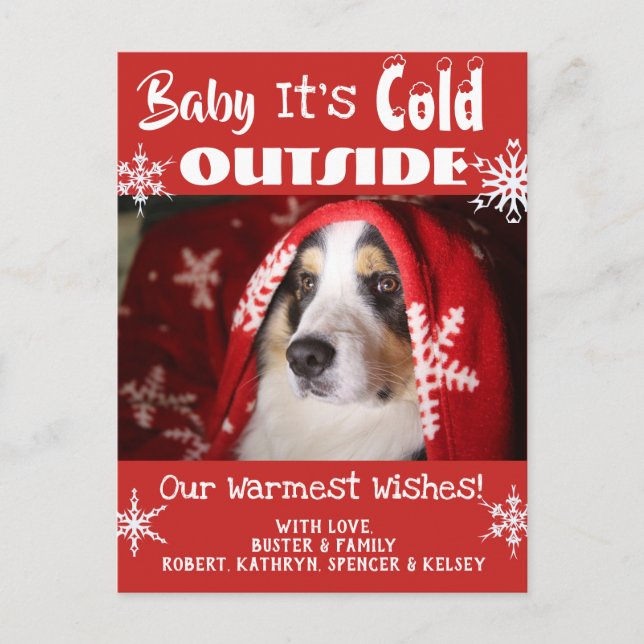Add Pet Photo "Baby It's Cold Outside" Holiday Postcard (Front)