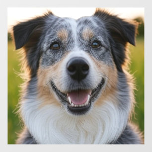 Add Pet Photo Customise