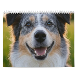Add Pet Photo Customise Calendar
