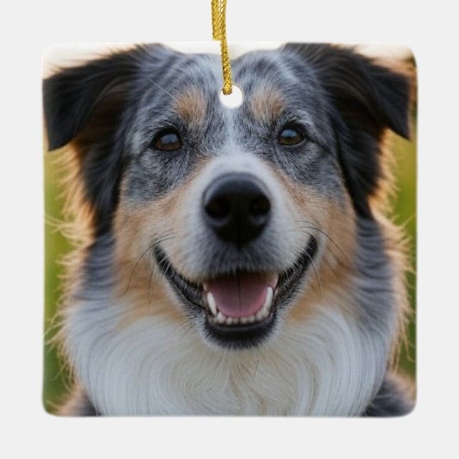 Add Pet Photo Customise Ceramic Ornament (Front)