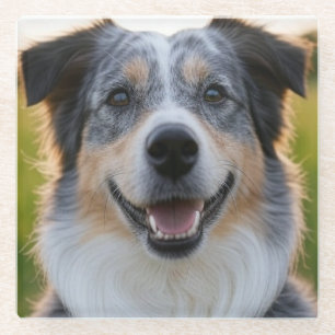 Add Pet Photo Customise Glass Coaster