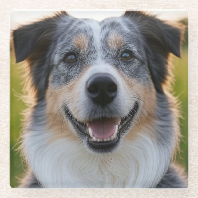 Add Pet Photo Customise Glass Coaster (Front)
