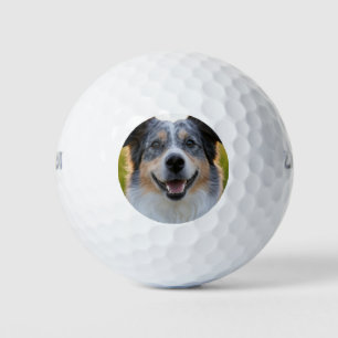 Add Pet Photo Customise Golf Balls