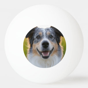 Add Pet Photo Customise Ping Pong Ball