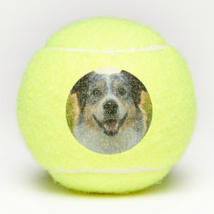 Add Pet Photo Customise Tennis Balls