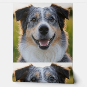 Add Pet Photo Customise Wallpaper