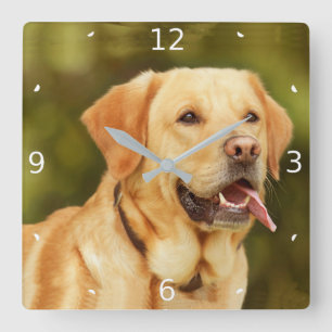 ADD PET PHOTO SQUARE WALL CLOCK