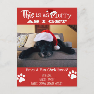 Add Pet Photo "This Is As Merry As I Get" Holiday Postcard