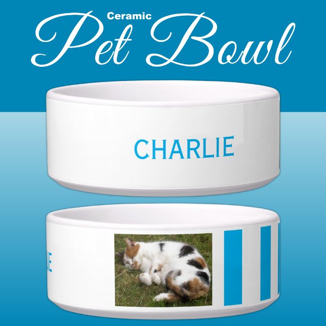 Add photo and name white and light blue bowl (Creator Uploaded)