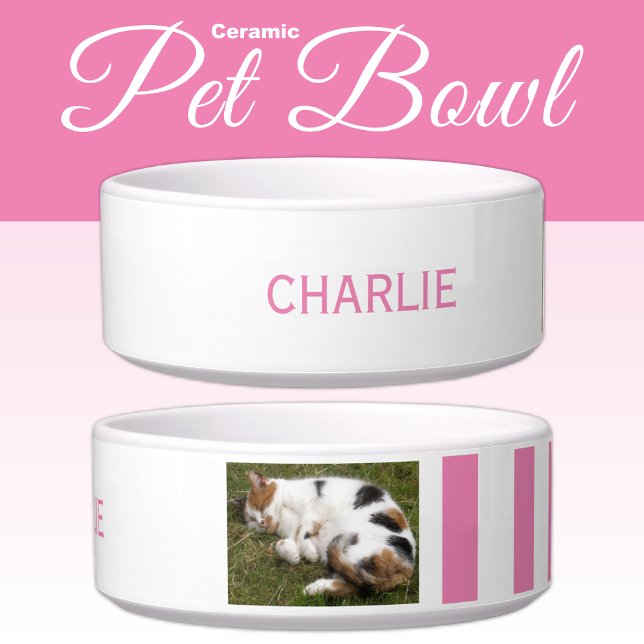 Add photo and name white and pink bowl (Creator Uploaded)