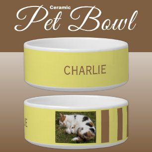 Add photo and name yellow and brown bowl