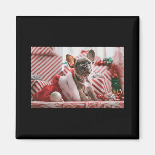 Add Photo And Text V Neck Red T Shirt Magnet