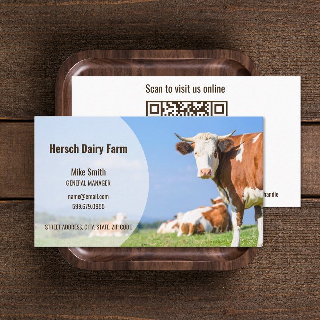 Add Photo Cow QR Code Business Cards (Add Photo Cow QR Code Business Cards (front and back))