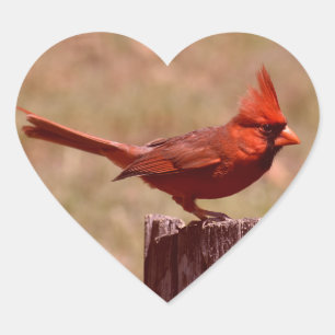 ADD PHOTO HEART STICKER