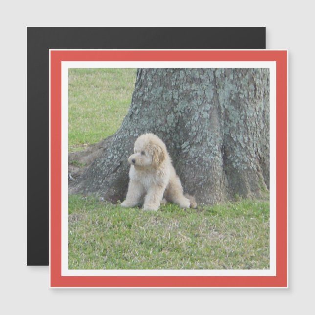 Add Photo to Square Template Red Orange Magnet (Front/Back)
