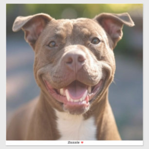 Add Pit Bull Photo Customise
