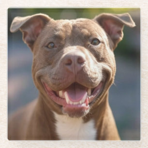 Add Pit Bull Photo Customise Glass Coaster