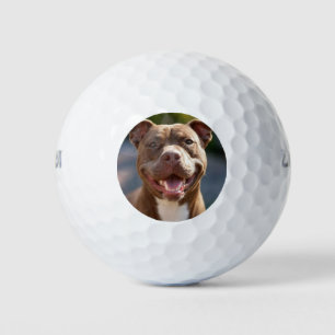 Add Pit Bull Photo Customise Golf Balls