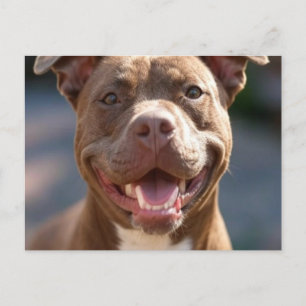 Add Pit Bull Photo Customise Postcard