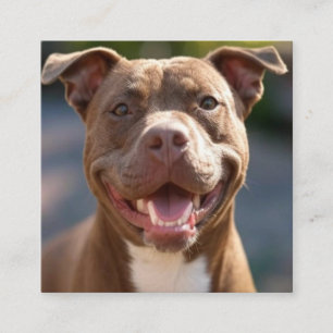 Add Pit Bull Photo Customise Square Business Card