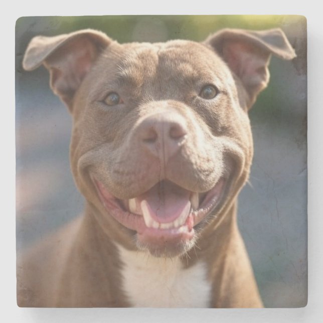 Add Pit Bull Photo Customise Stone Coaster (Front)