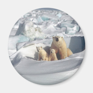 Add SLOGAN to Save Arctic Polar Bears Planet Ice Magnet