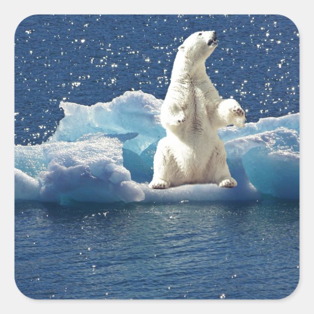 Add SLOGAN to Save Polar Bears Arctic Planet Ice Square Sticker (Front)