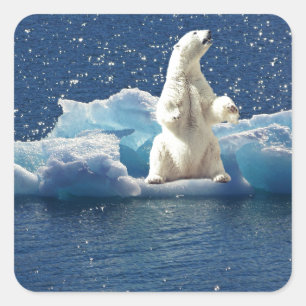 Add SLOGAN to Save Polar Bears Arctic Planet Ice Square Sticker