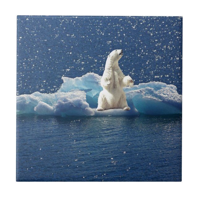 Add SLOGAN to Save Polar Bears Arctic Planet Ice Tile (Front)
