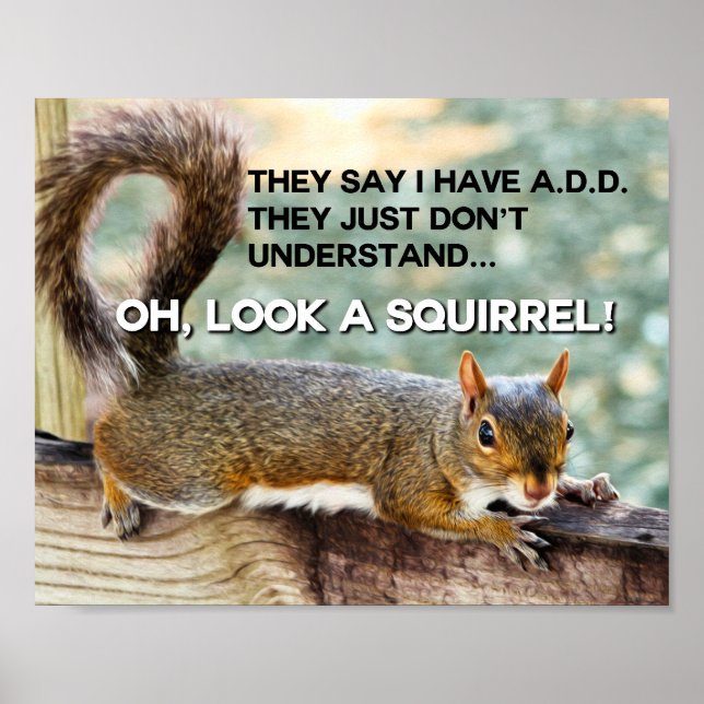ADD Squirrel Photo Poster (Front)