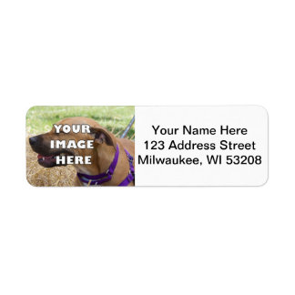 Add Your Animal! Address Labels