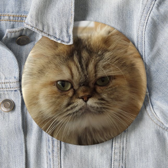ADD YOUR CAT PHOTO CUSTOM BIG LARGE BUTTON (In Situ)