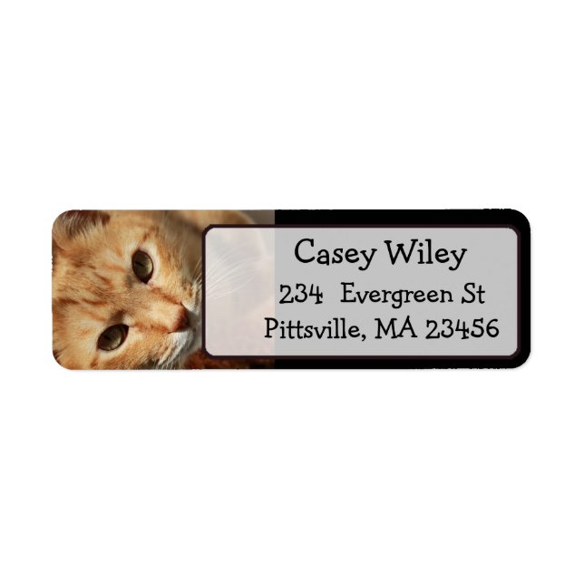 Add your Cat's Photo to this Address Label (Front)