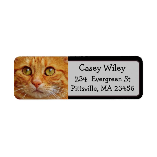 Add your Cat's Photo to this Address Label (Front)