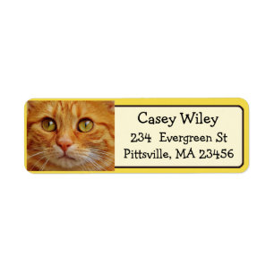 Add your Cat's Photo to this Address Label