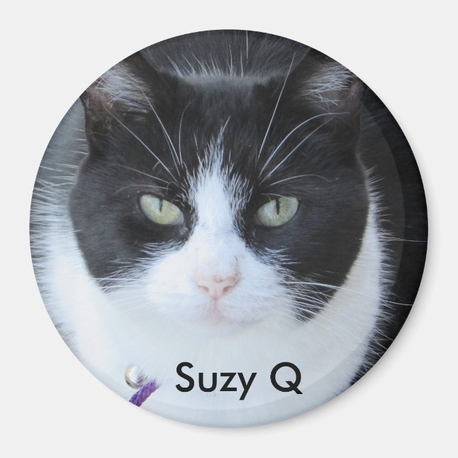 Add your Cat's Photo to this Refrigerator Magnet (Front)