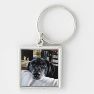 Add your Dog Photo to this  Key Ring
