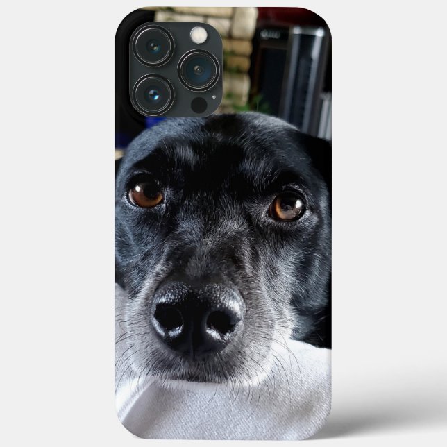 Add Your Dog's Photo to this Custom Case-Mate iPhone Case (Back)