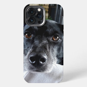 Add Your Dog's Photo to this Custom iPhone 13 Pro Max Case