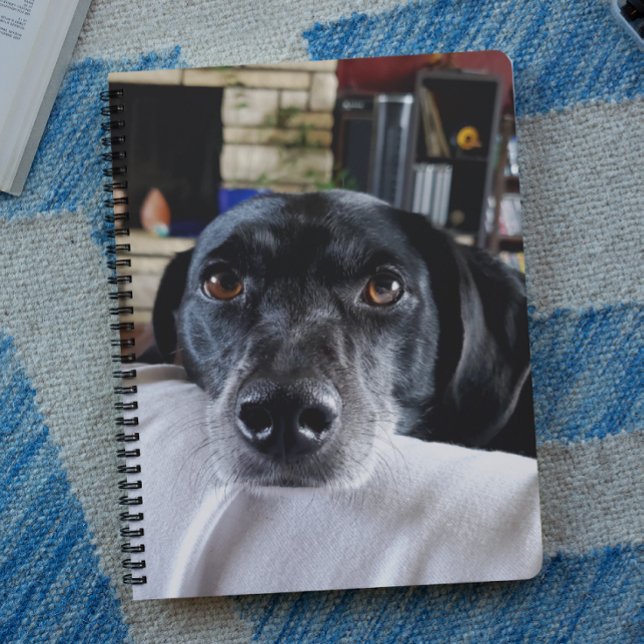 Add Your Dog's Photo to this Custom Planner (Creator Uploaded)